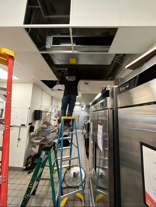 Restaurants & Food Service